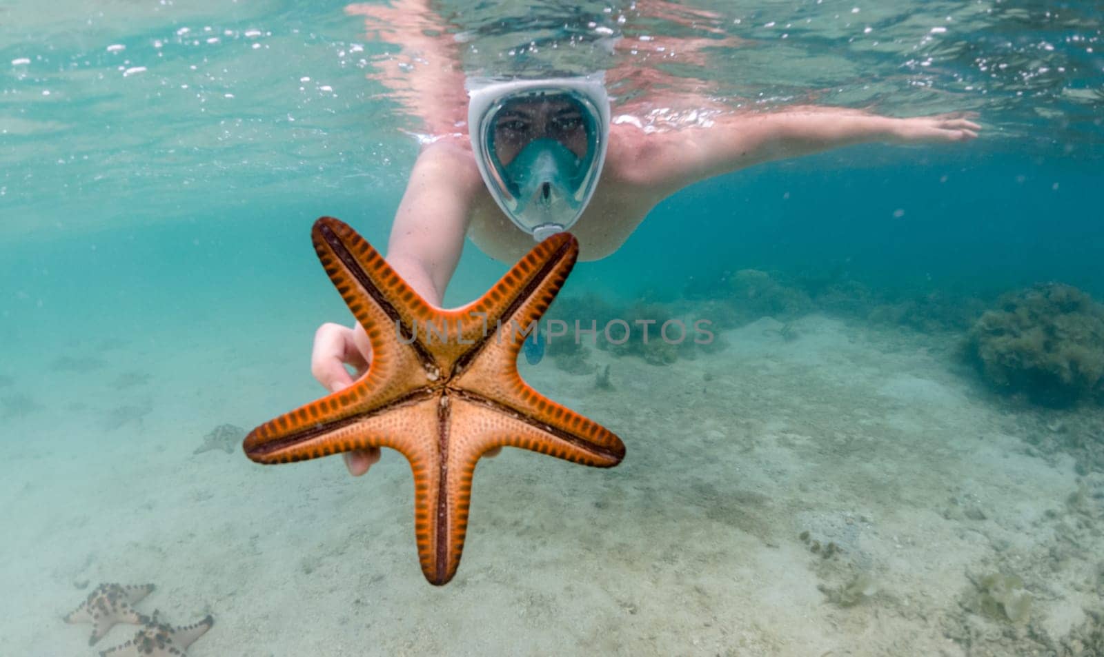 Snorkeler reaches for starfish in crystal clear tropical waters by Busker