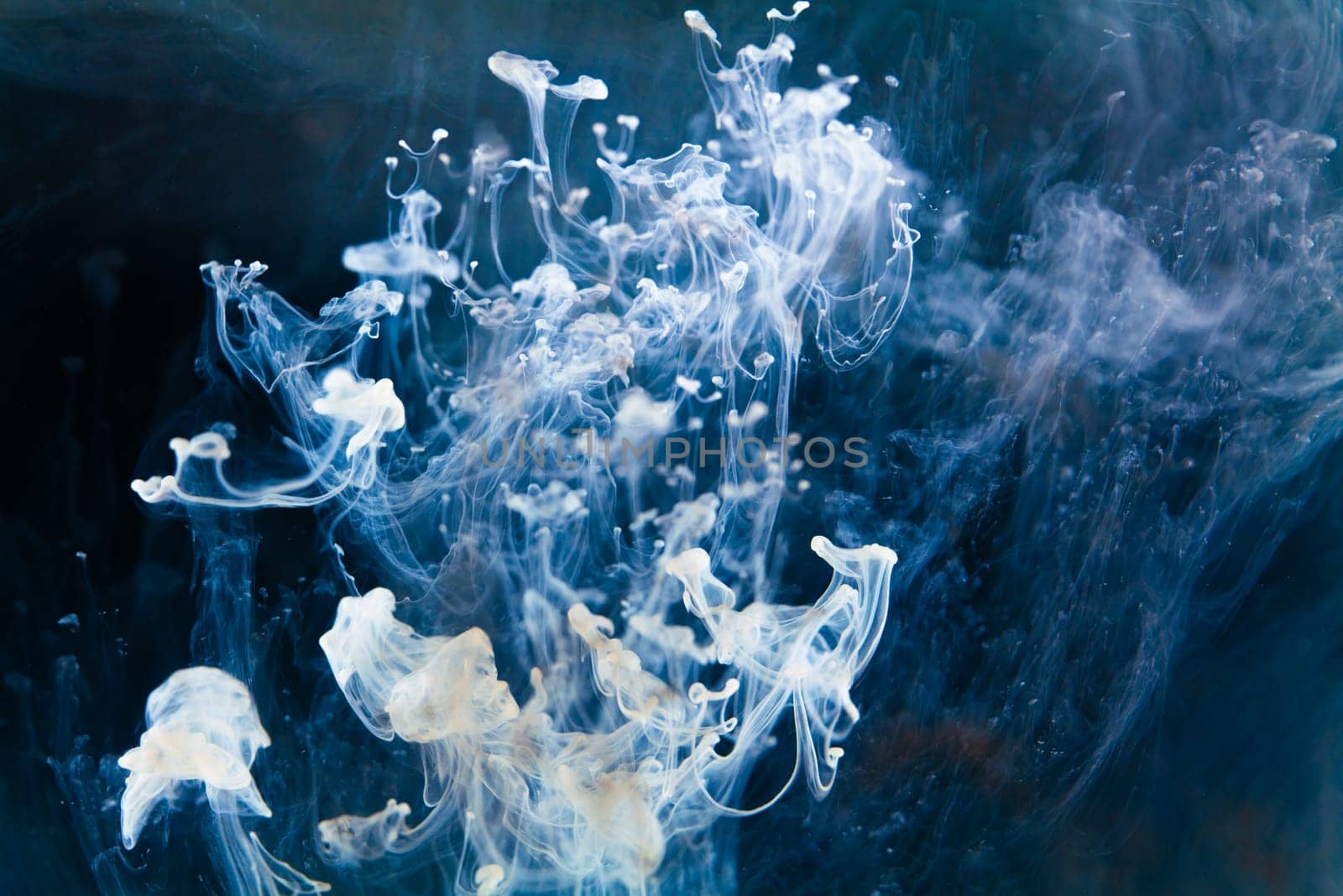 white Ink dropped into the water and photographed while in motion. Paint swirling in water. Mesmerizing dance of inky tendrils unfurling through azure waters.