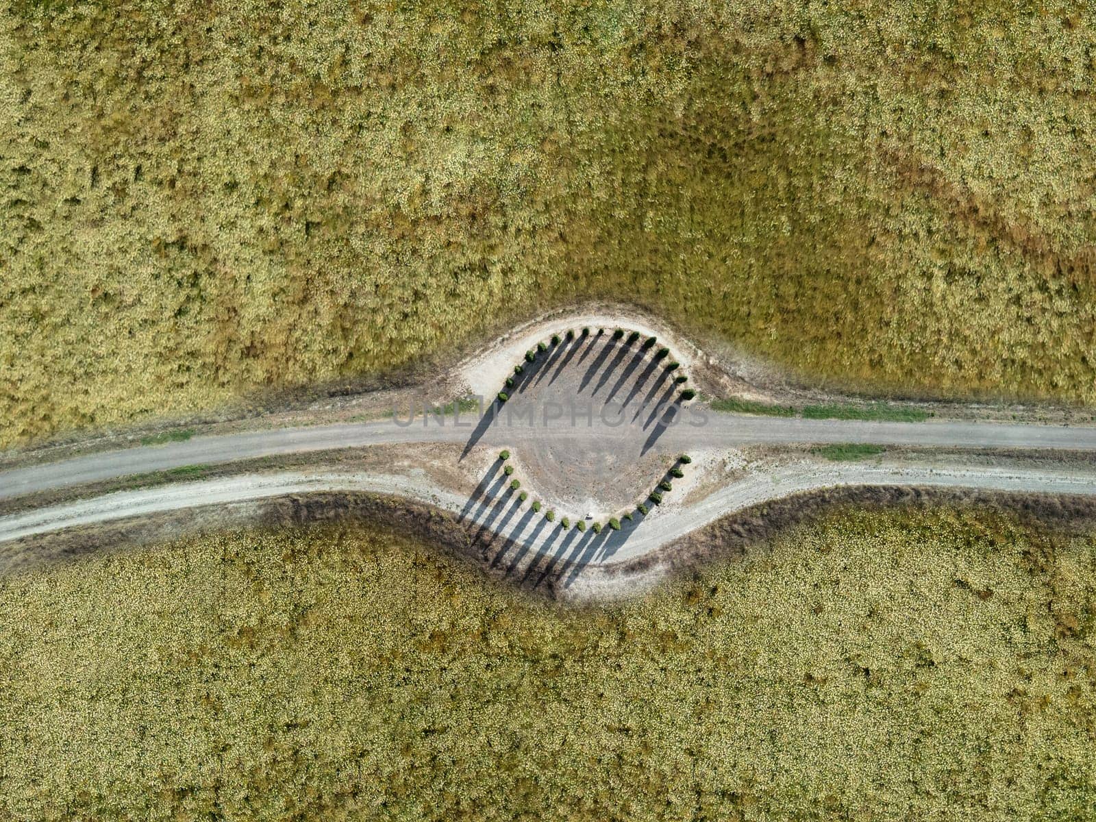 Tuscan landscape on a road of cypress trees, Italy by mot1963