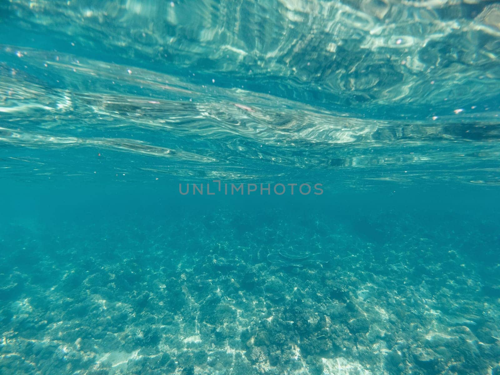 Underwater with sunlight pouring in, glistening water crests on white sand, and clear tropical waters. Underwater background of clear blue water on sandy sea floor by Busker