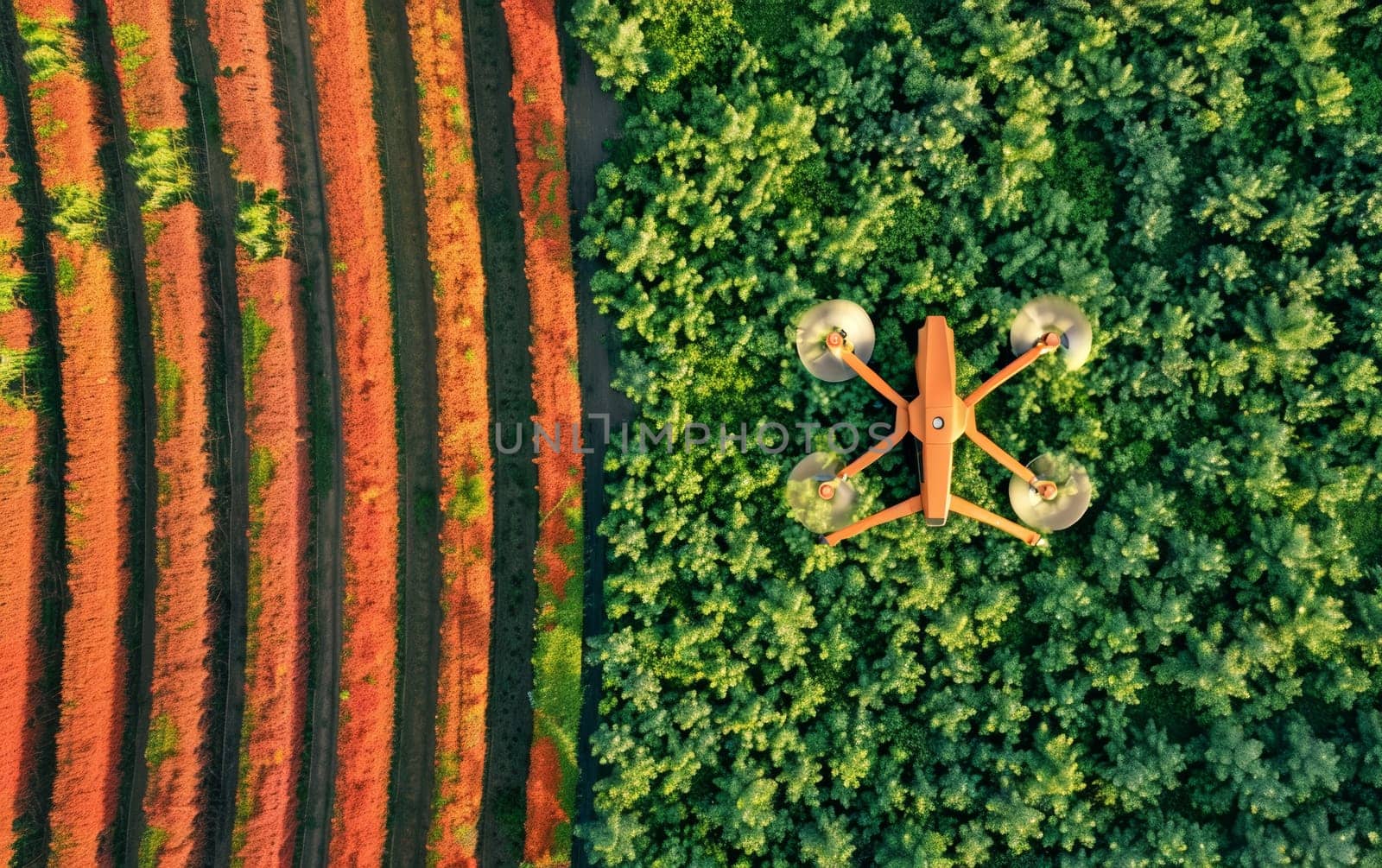 From above, a drone hovers over the contrasting rows of a lush green forest, the technology of man overseeing the wild patterns of nature. View offers a fresh perspective on forestry and surveillance