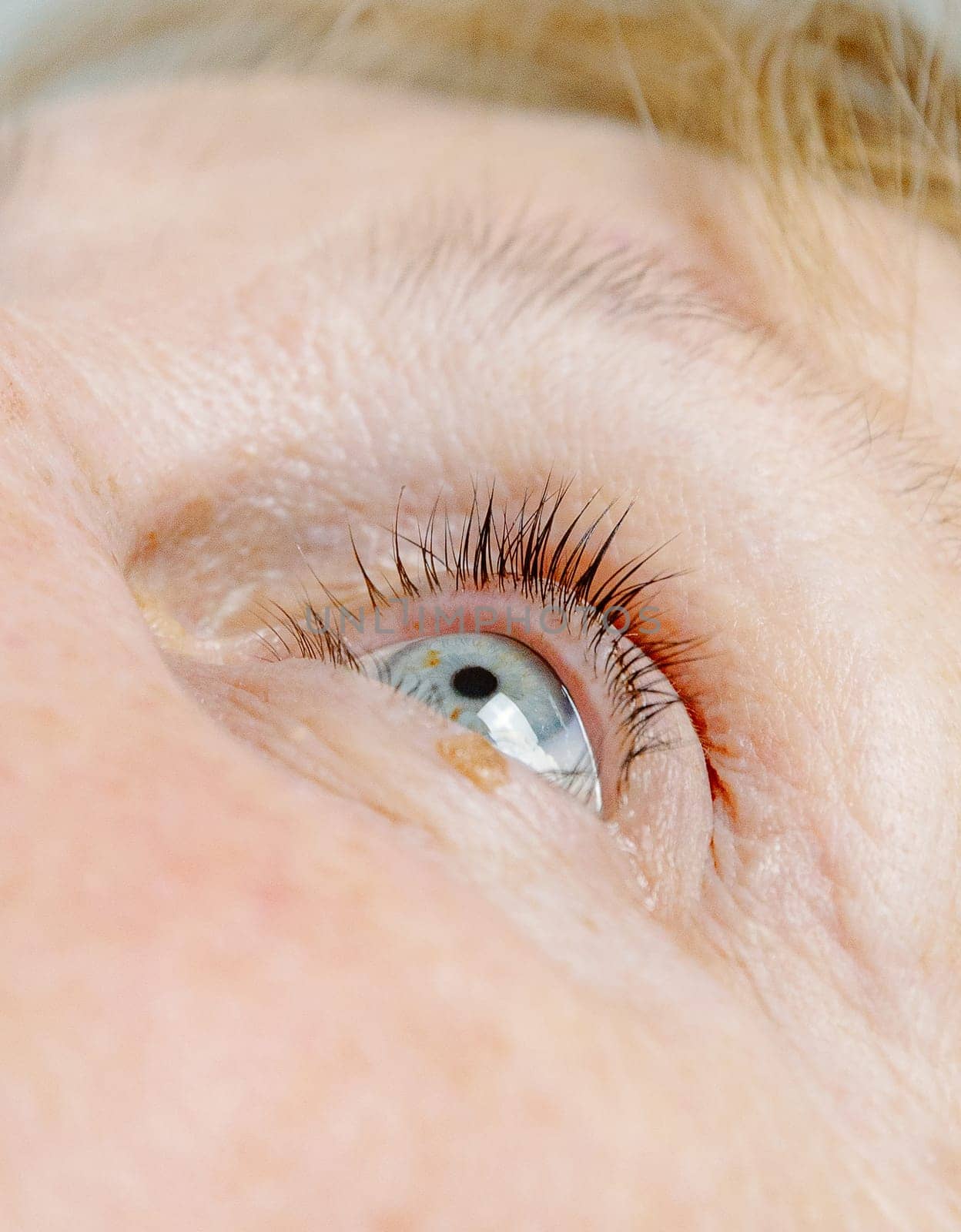 Portrait of a human female blue-gray eye with beautiful eyelashes of a Caucasian elderly woman, close-up side view.