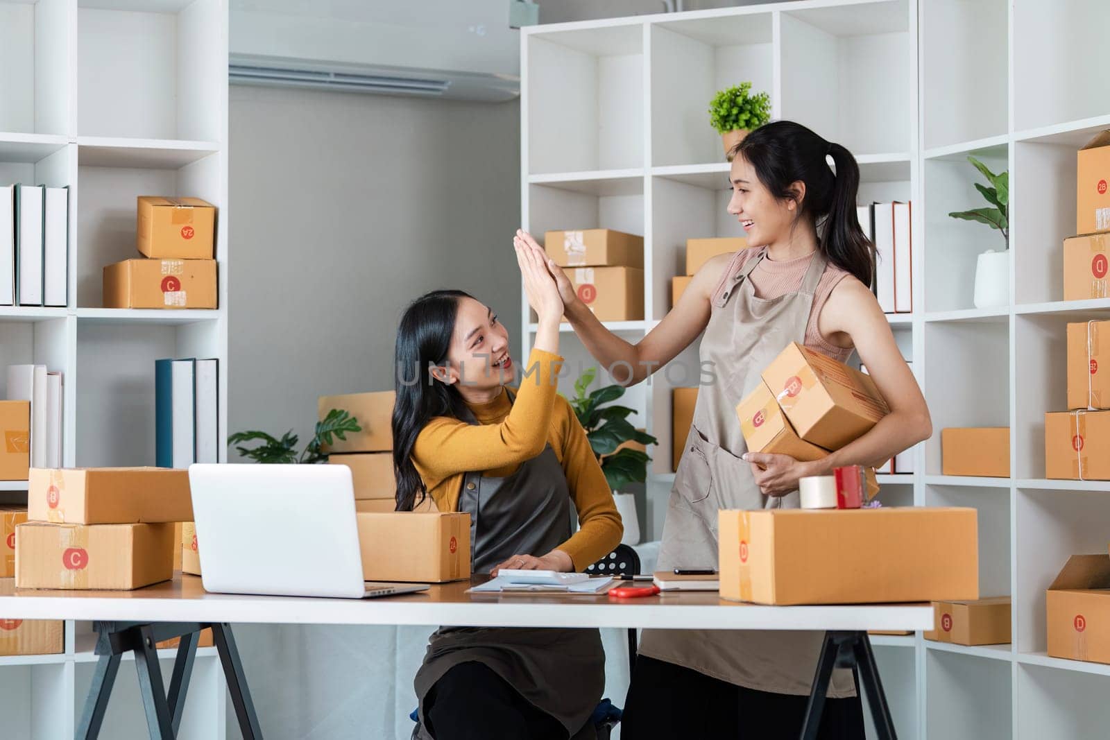 Business Ecommerce success, Female online store owners giving each other a high five in celebration.