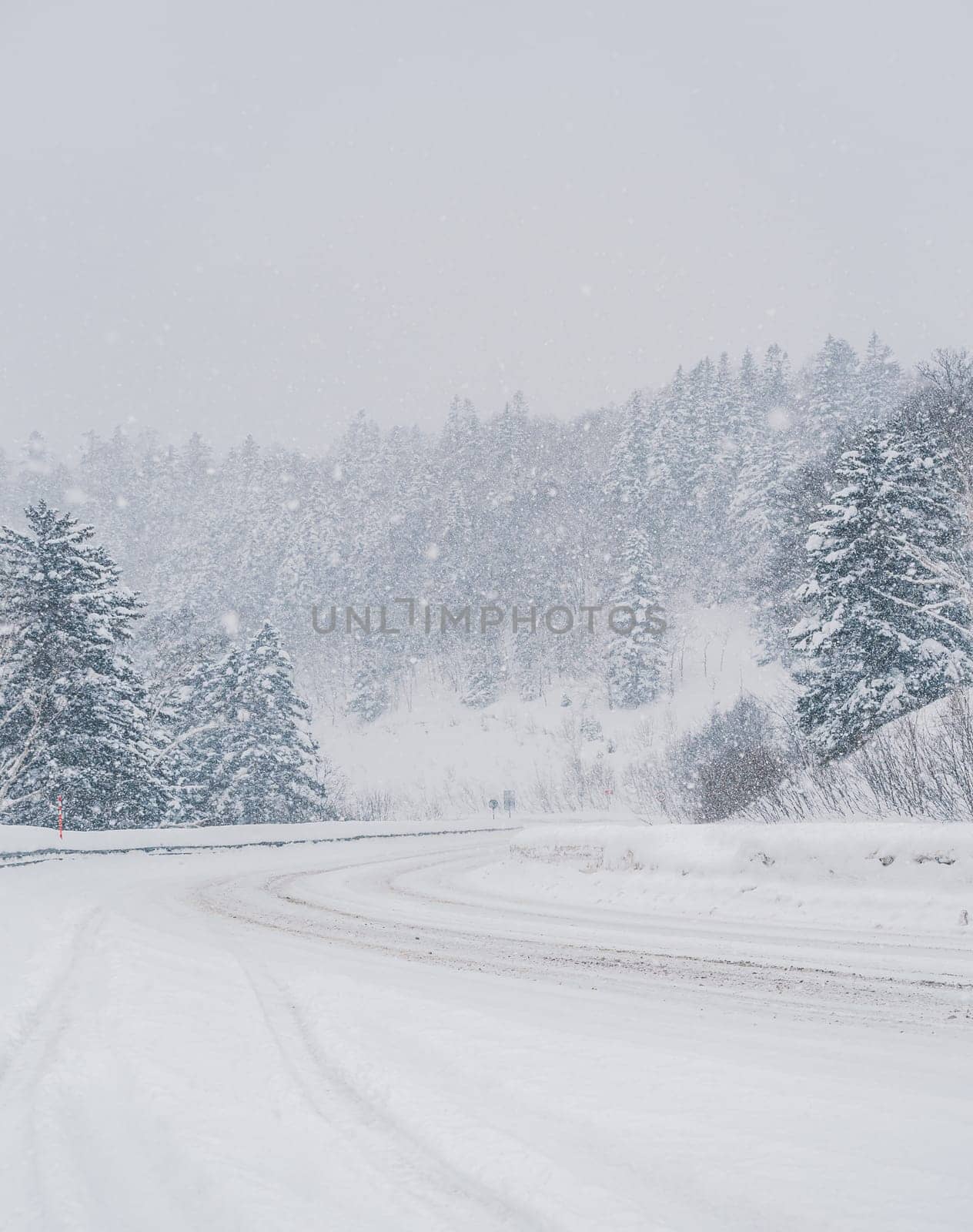 Snow is heavily falling on a winding mountain road lined with dense forest. The road appears slippery due to the accumulating snow.