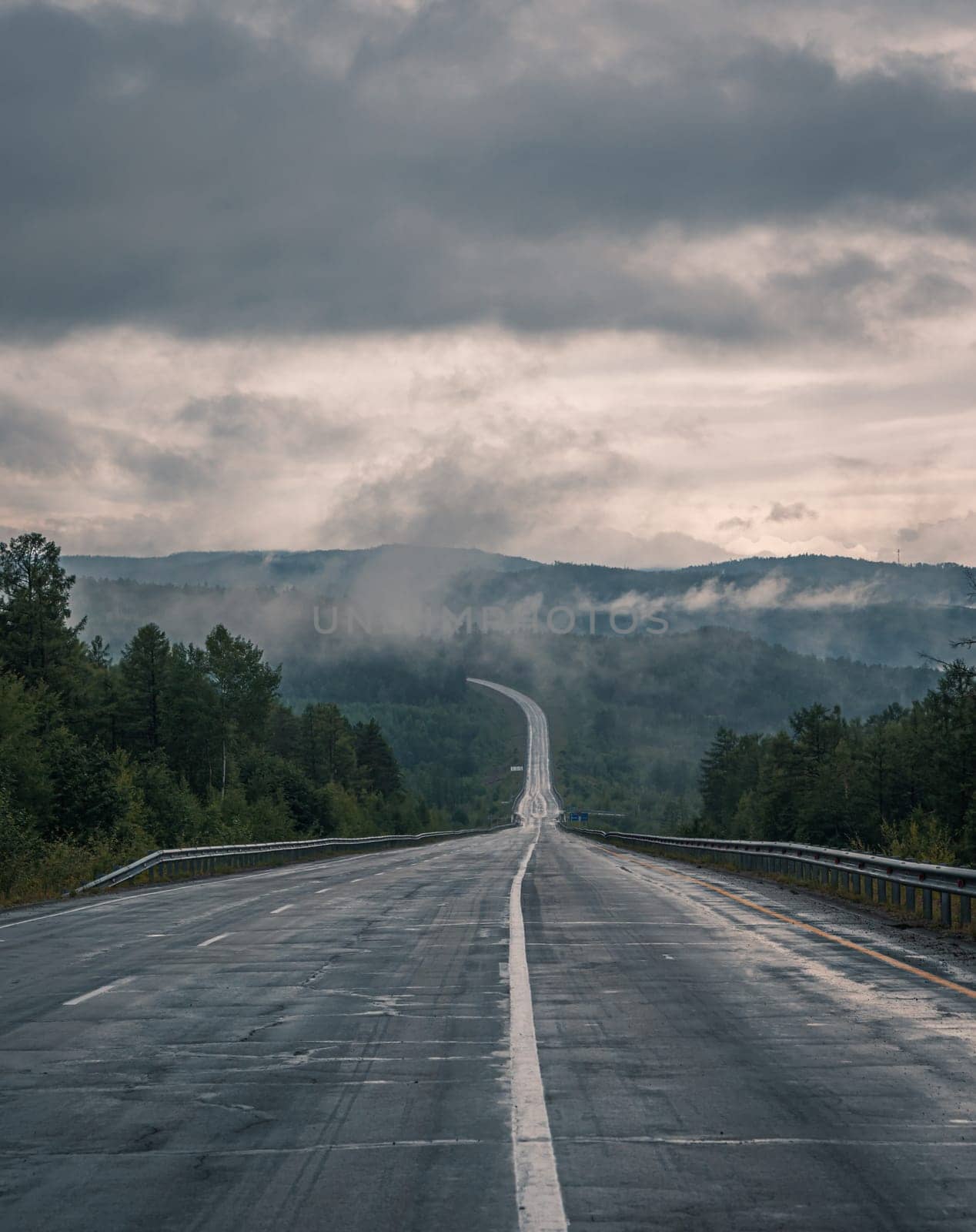 A long, straight highway stretches into the distance toward a dense forest under a cloudy sky.