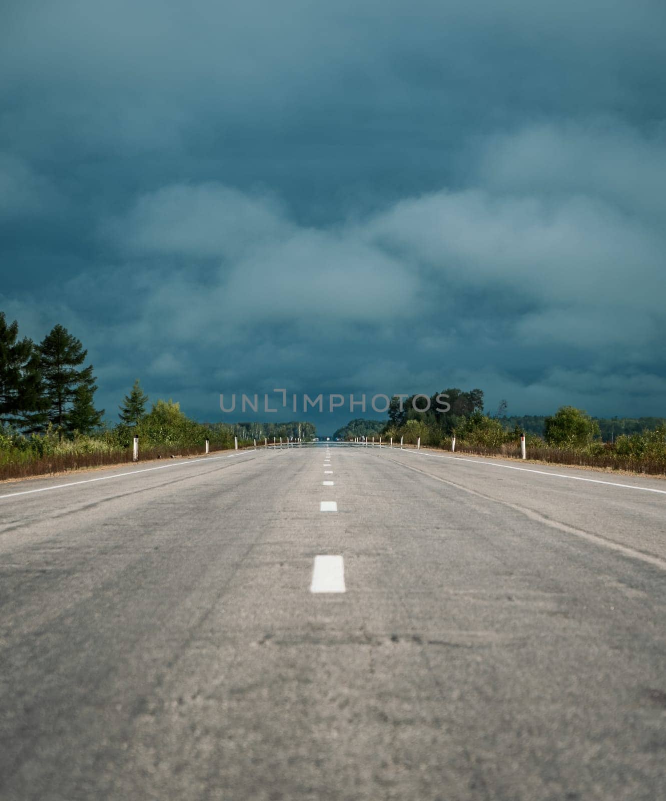 A long, straight highway stretches into the distance toward a dense forest under a cloudy sky.