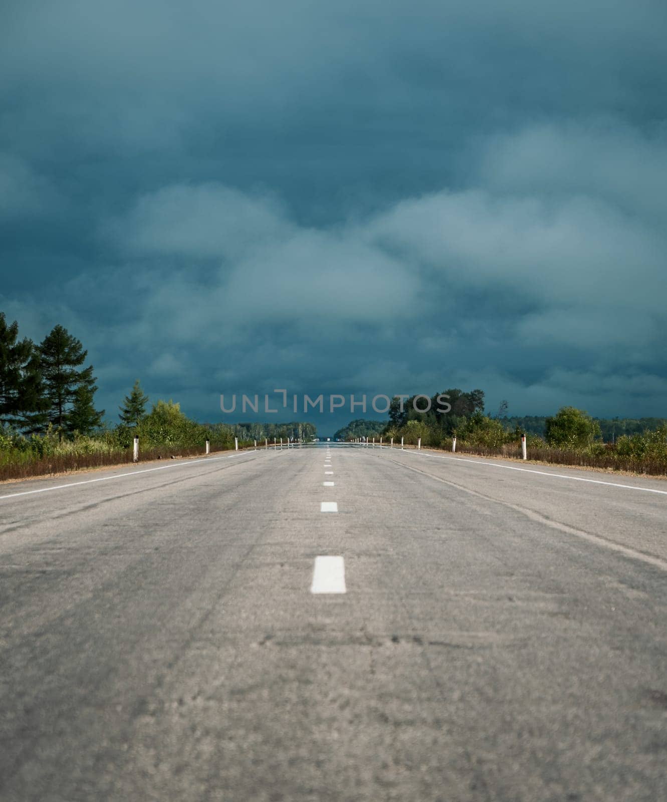 Straight empty highway stretching toward distant forest on a cloudy day by Busker