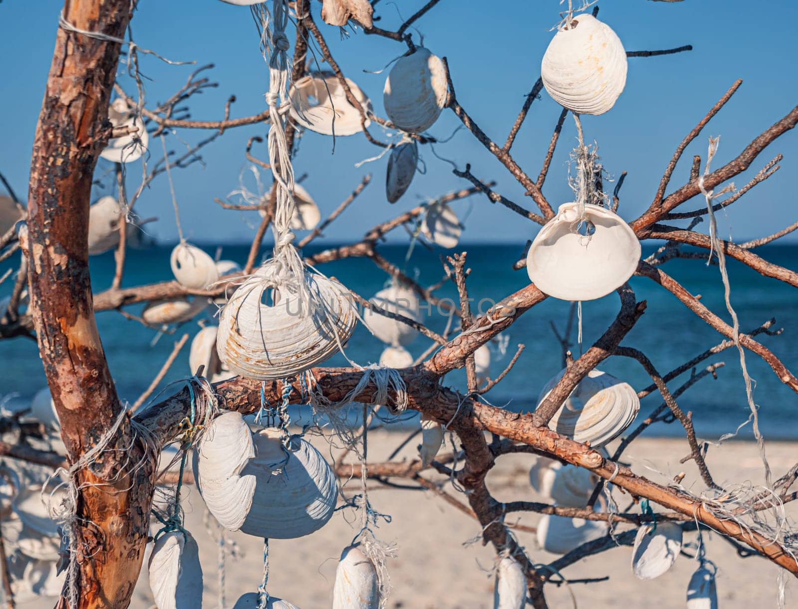 Handmade seashell decorations are hanging from the branches of a driftwood tree situated on a sandy beach. The ocean is visible in the background under a clear blue sky, providing a serene coastal scene.