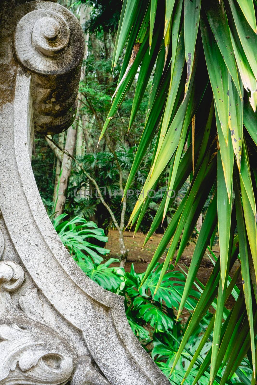 Old staircase at Yardim Botanic Garden at São Paulo, Brazil. May 13 2024.