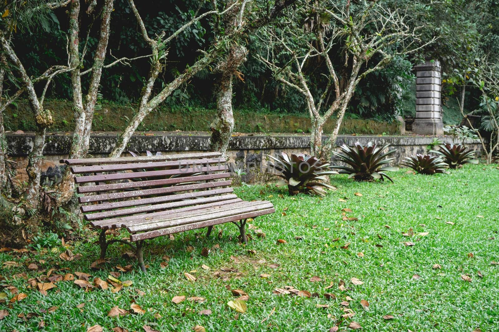 Jardim Botanic Garden. Beautiful park in São Paulo, Brazil.