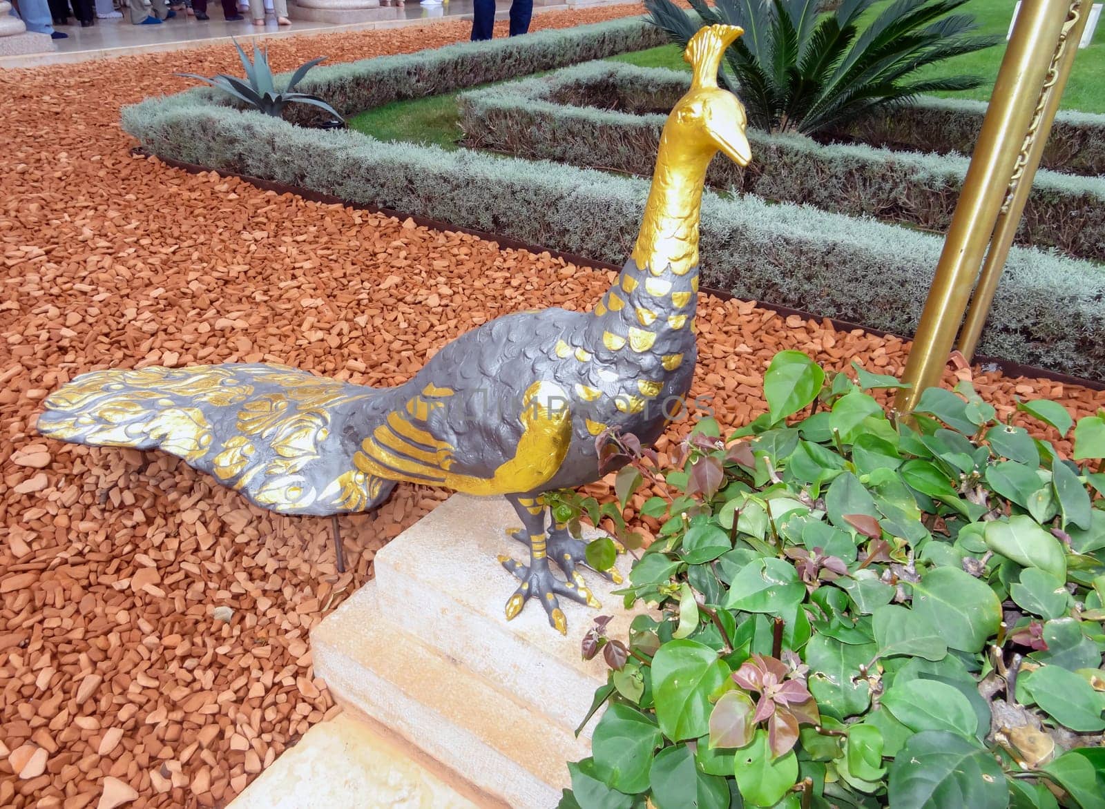 Garden decoration figure of a peacock bronze bird. High quality photo