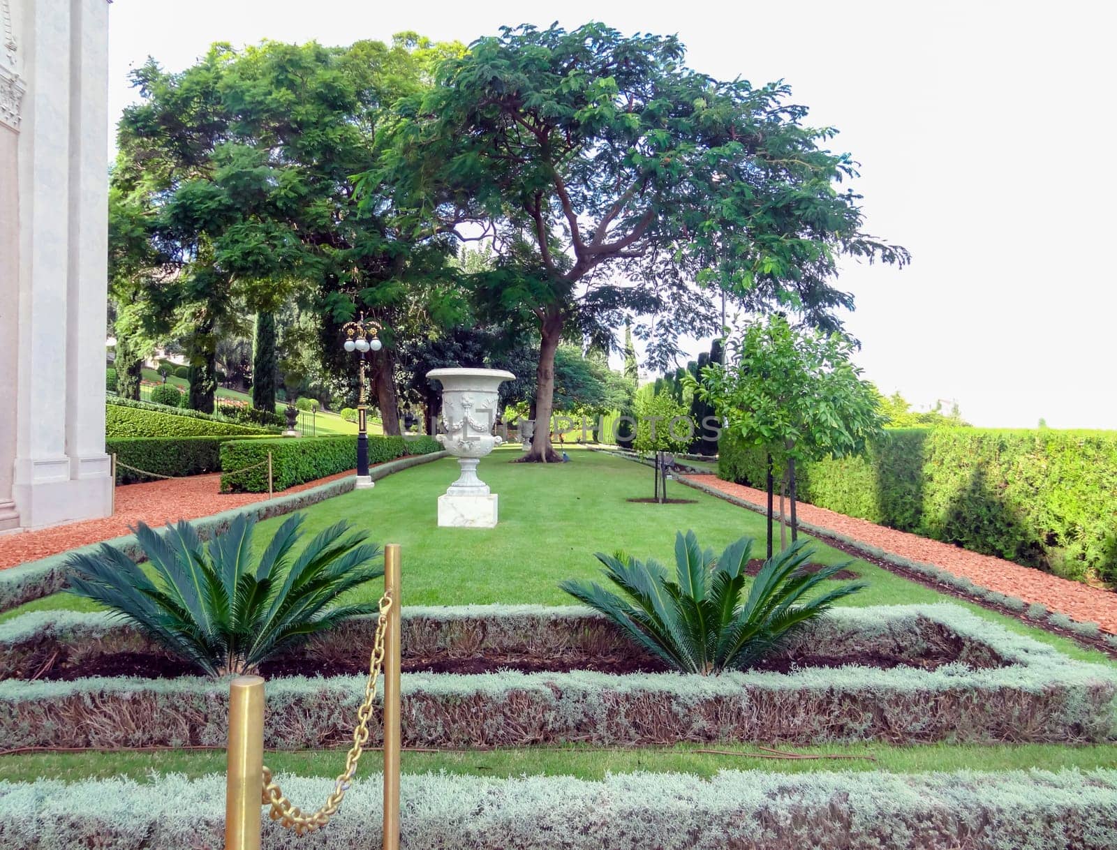 Path in the park with flowers and palm trees on a sunny summer day. High quality photo
