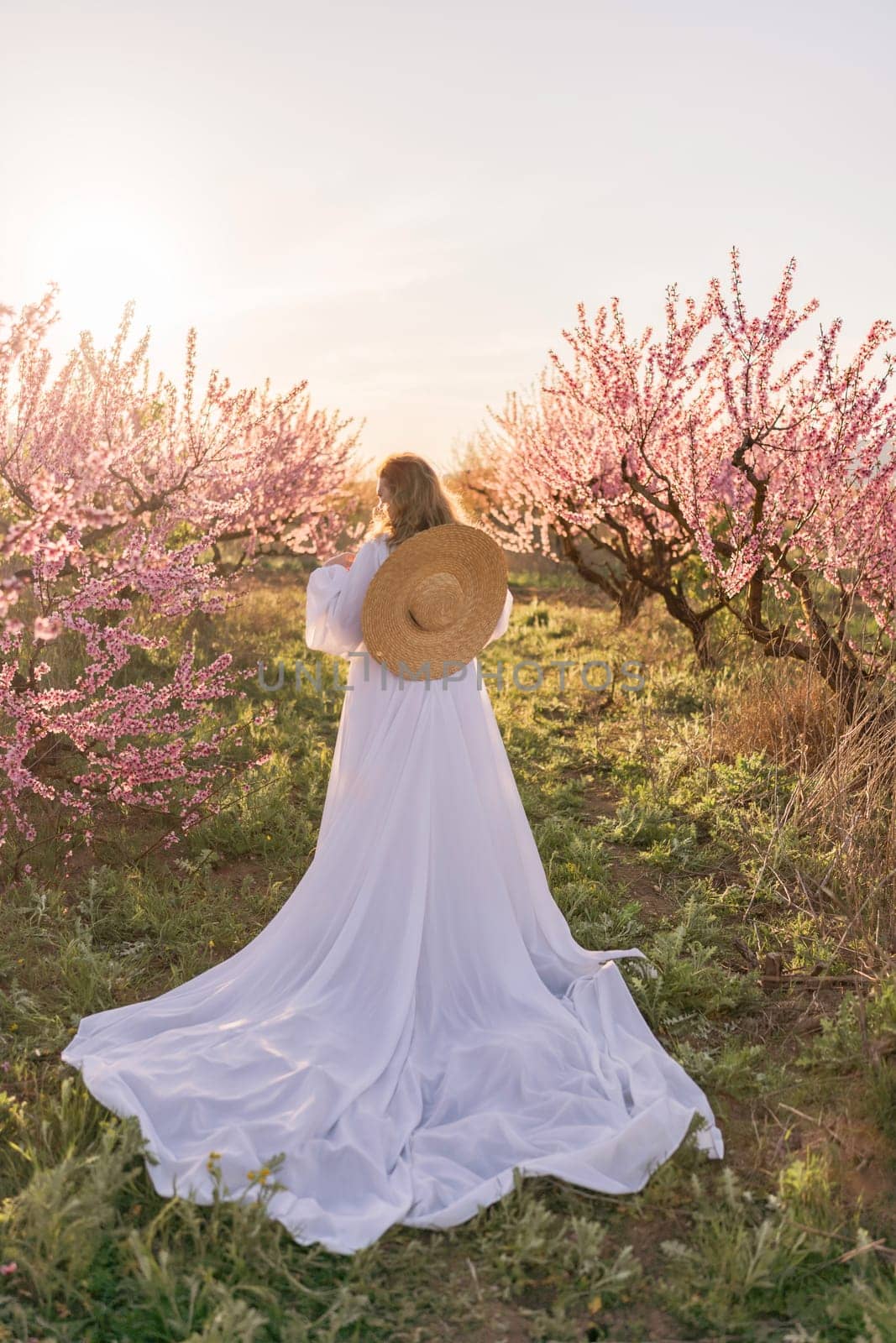 Woman blooming peach orchard. Against the backdrop of a picturesque peach orchard, a woman in a long white dress and hat enjoys a peaceful walk in the park, surrounded by the beauty of nature. by Matiunina