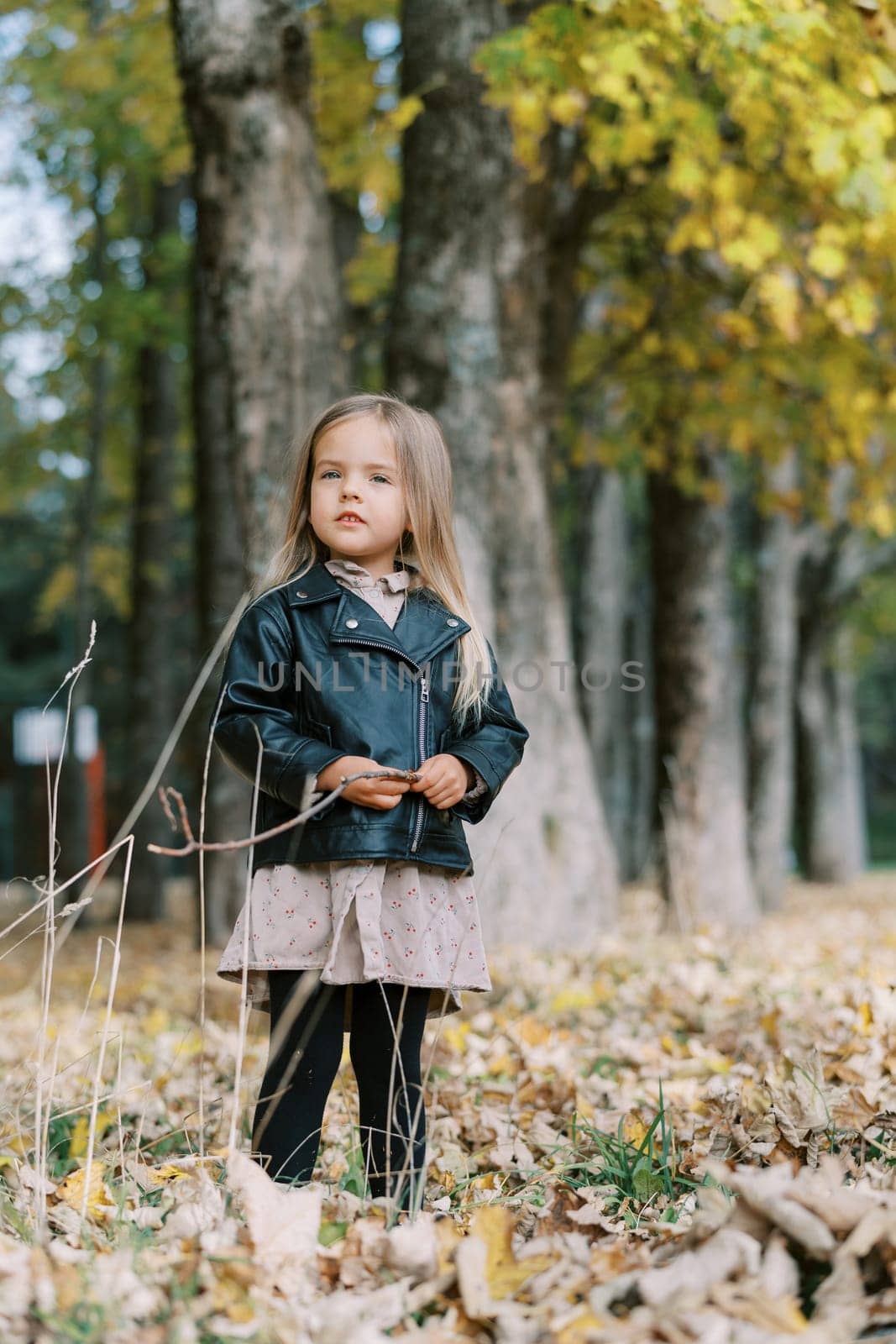 Little girl with a stick in her hand stands in the autumn forest and looks into the distance. High quality photo