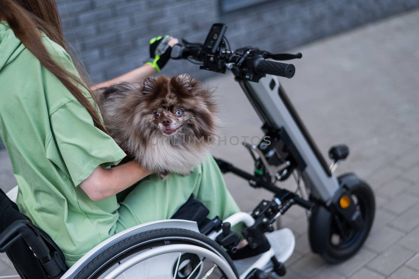 A woman in a wheelchair with a hand-control assist device carries a Spitz merle dog. Electric handbike