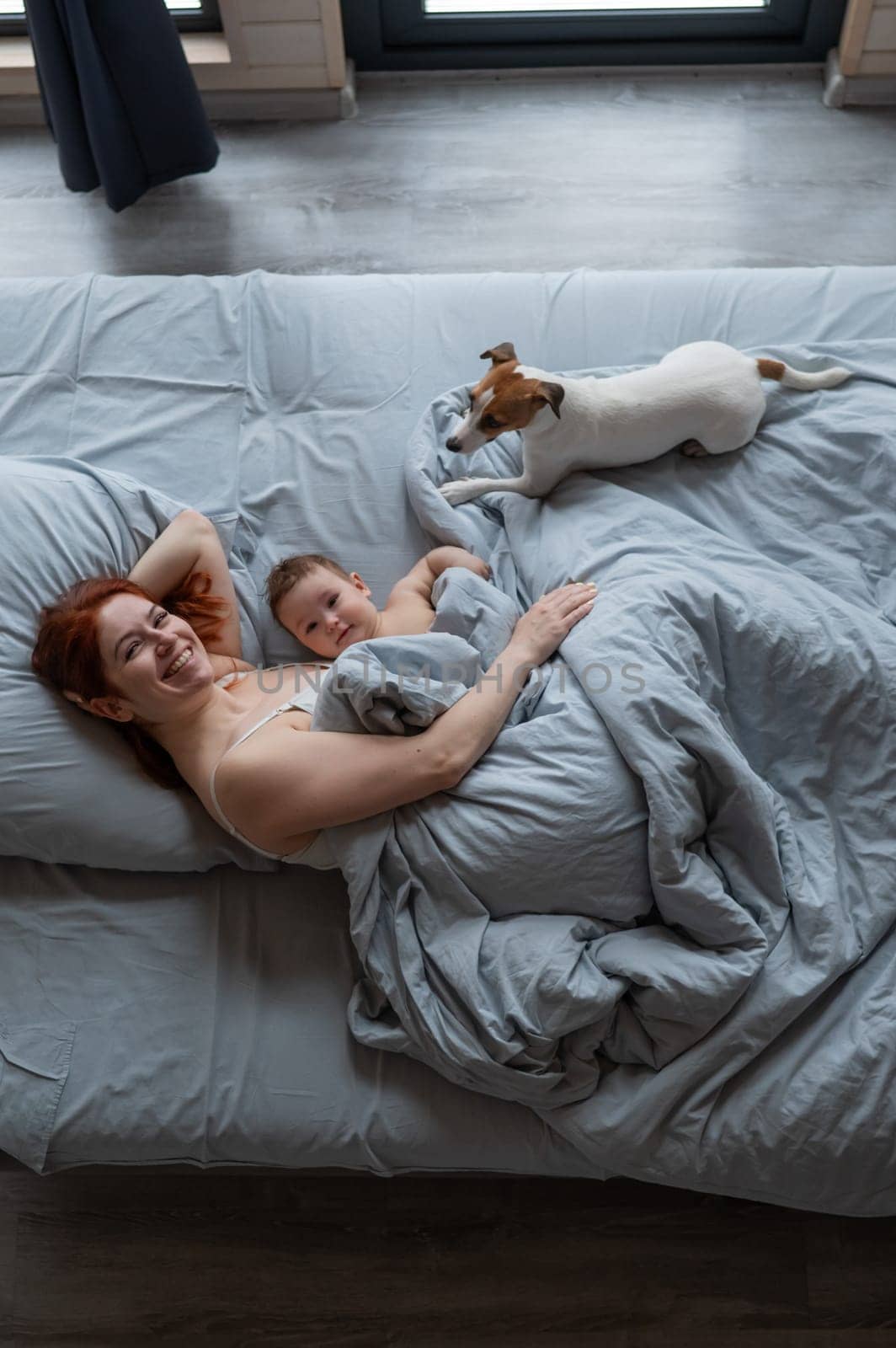 Top view of a red-haired Caucasian woman lying in bed with her baby son and Jack Russell terrier dog. Vertical photo