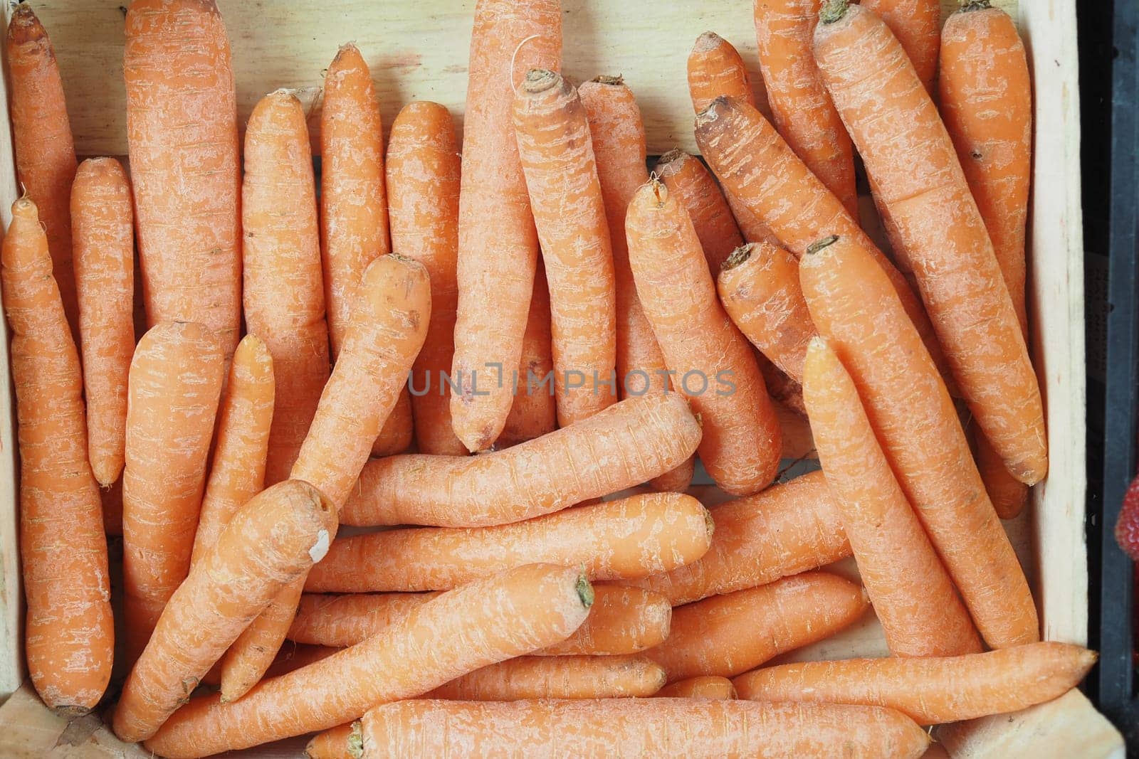 pile carrot displaying at local shop