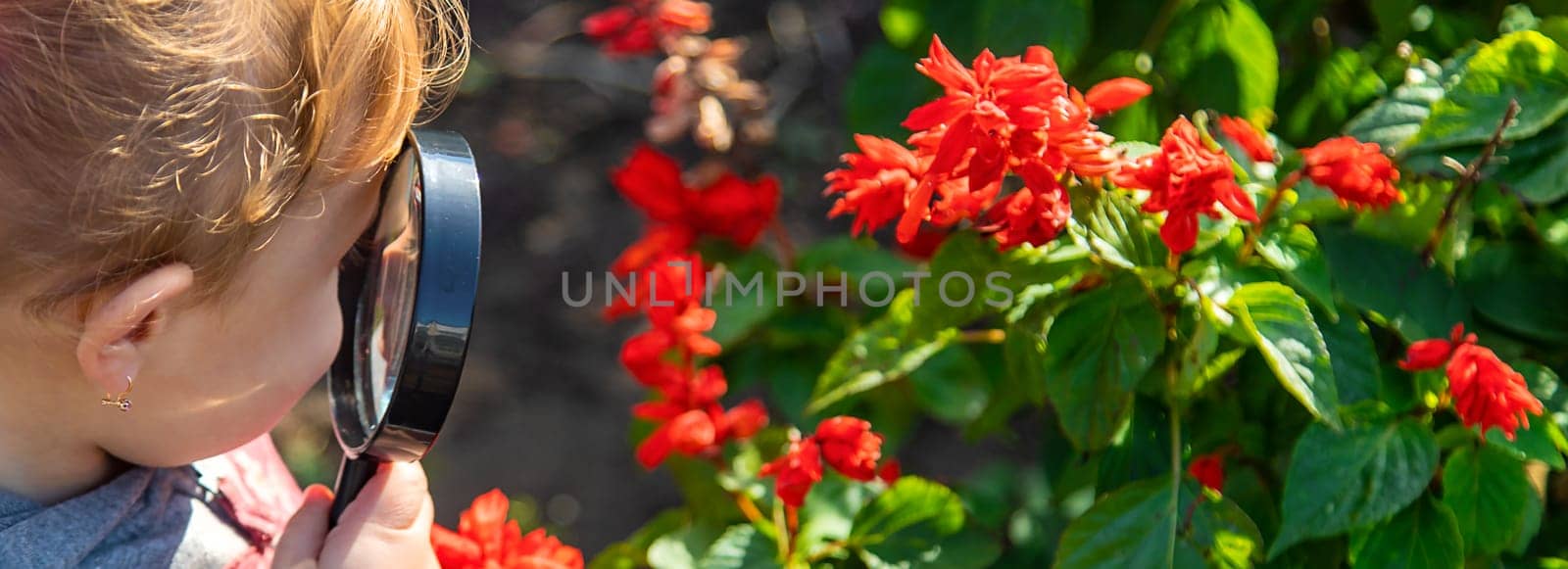 Children look through a magnifying glass at a plant. Selective focus. by yanadjana