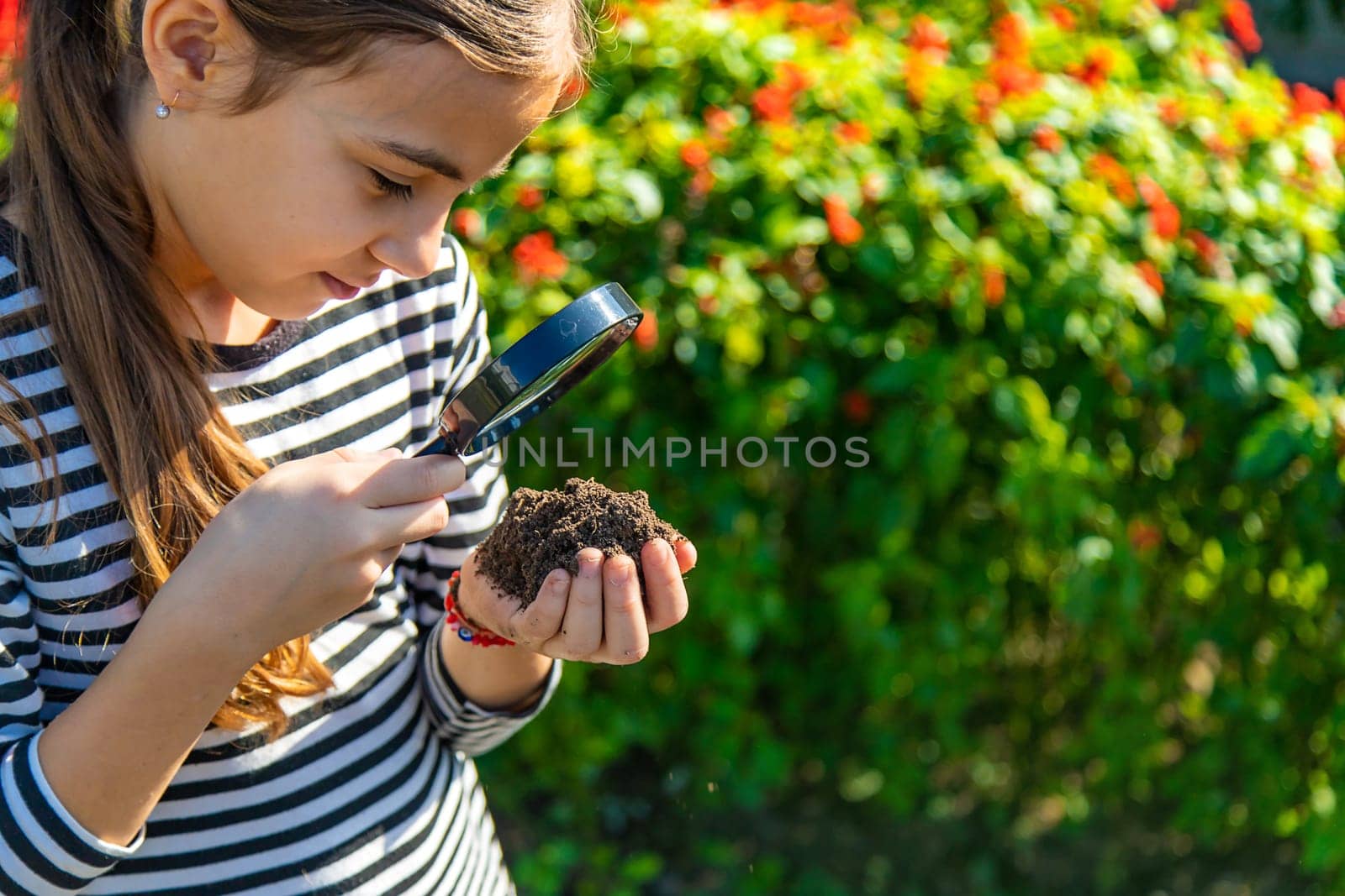 Children examine the soil with a magnifying glass. Selective focus. Kid.