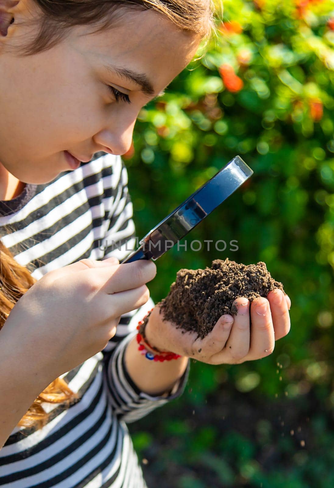 Children examine the soil with a magnifying glass. Selective focus. Kid.