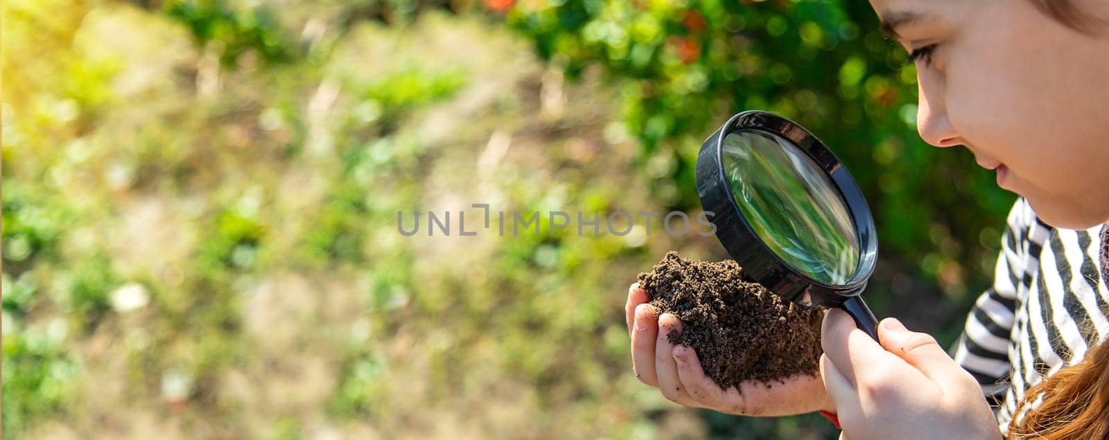 Children examine the soil with a magnifying glass. Selective focus. Kid.