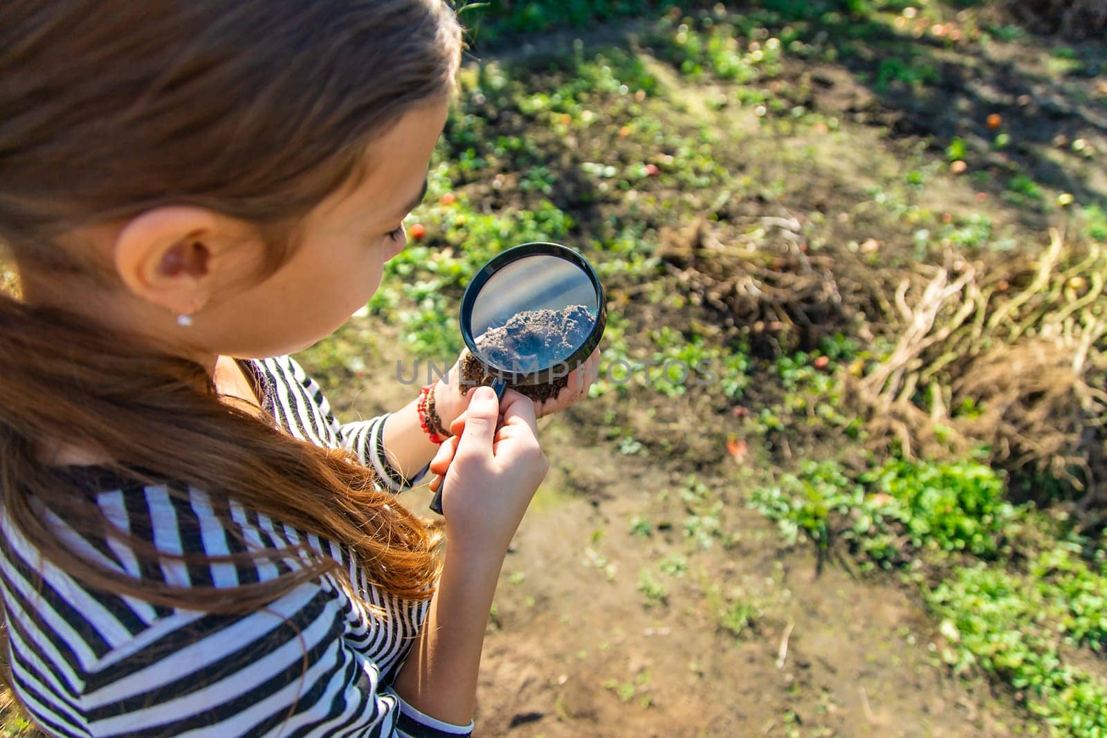 Children examine the soil with a magnifying glass. Selective focus. Kid.