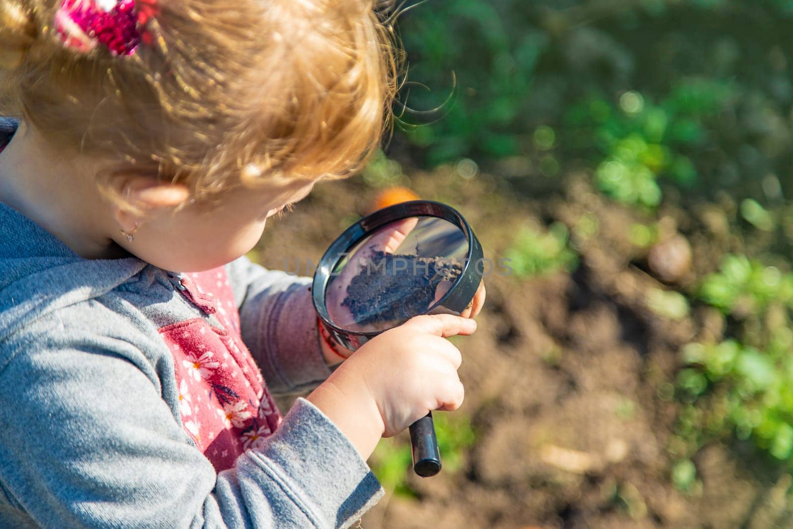 Children examine the soil with a magnifying glass. Selective focus. Kid.