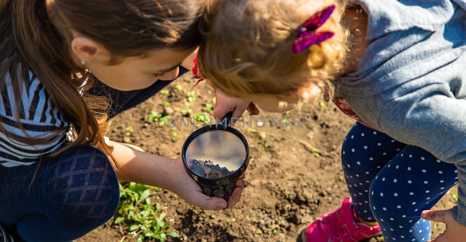 Children examine the soil with a magnifying glass. Selective focus. Kid.