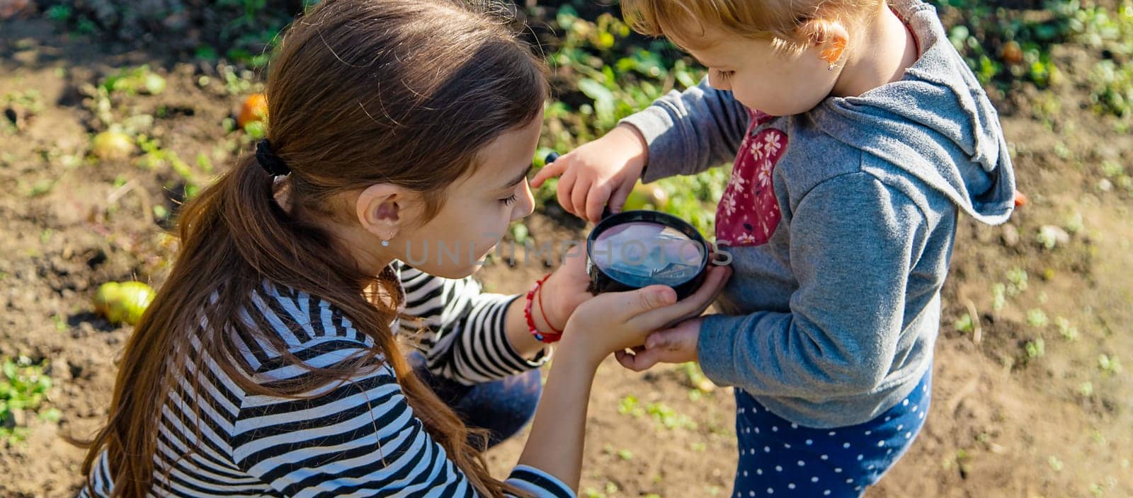 Children examine the soil with a magnifying glass. Selective focus. Kid.