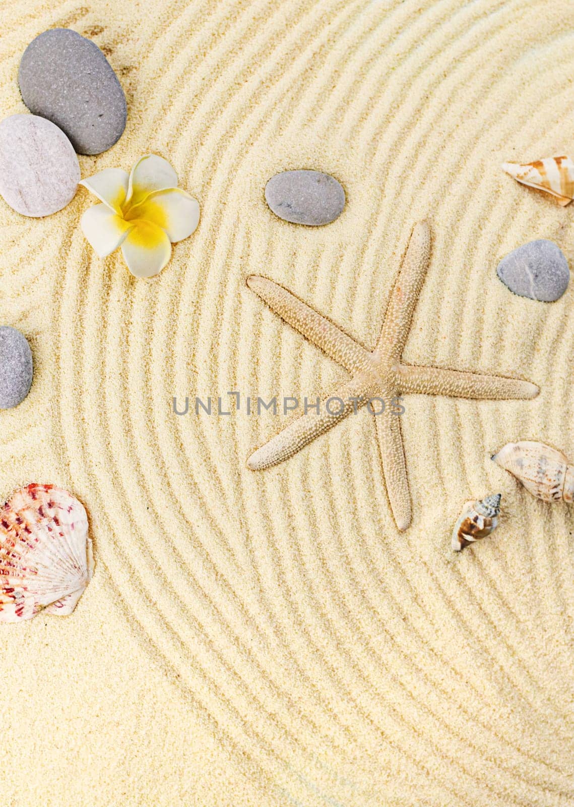 Background with seashells on the sand. Selective focus. Spa.