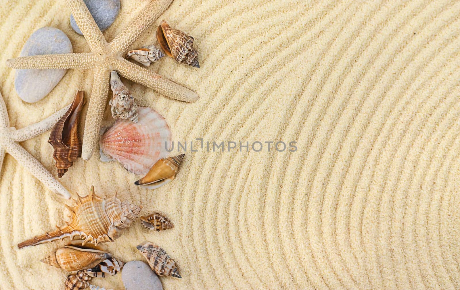 Background with seashells on the sand. Selective focus. Spa.