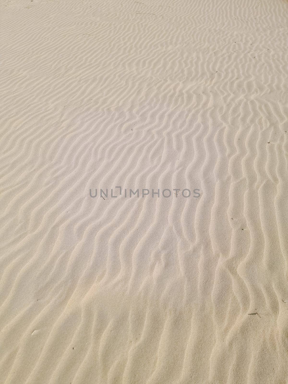 A mesmerizing scene on a Texel, Netherlands sand dune as waves peacefully wash over its slopes.