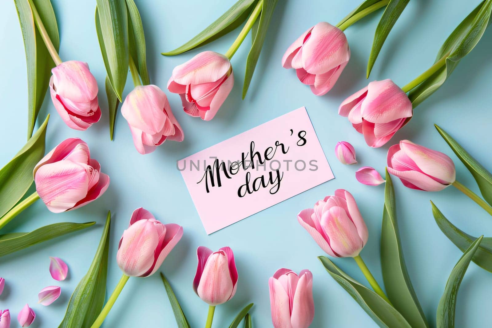 Bouquet of pink tulips and card with text on blue background by ThemesS