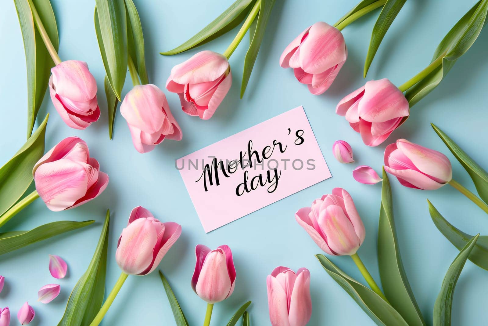 Pink tulips and card with text Happy Women's Day on blue background by ThemesS