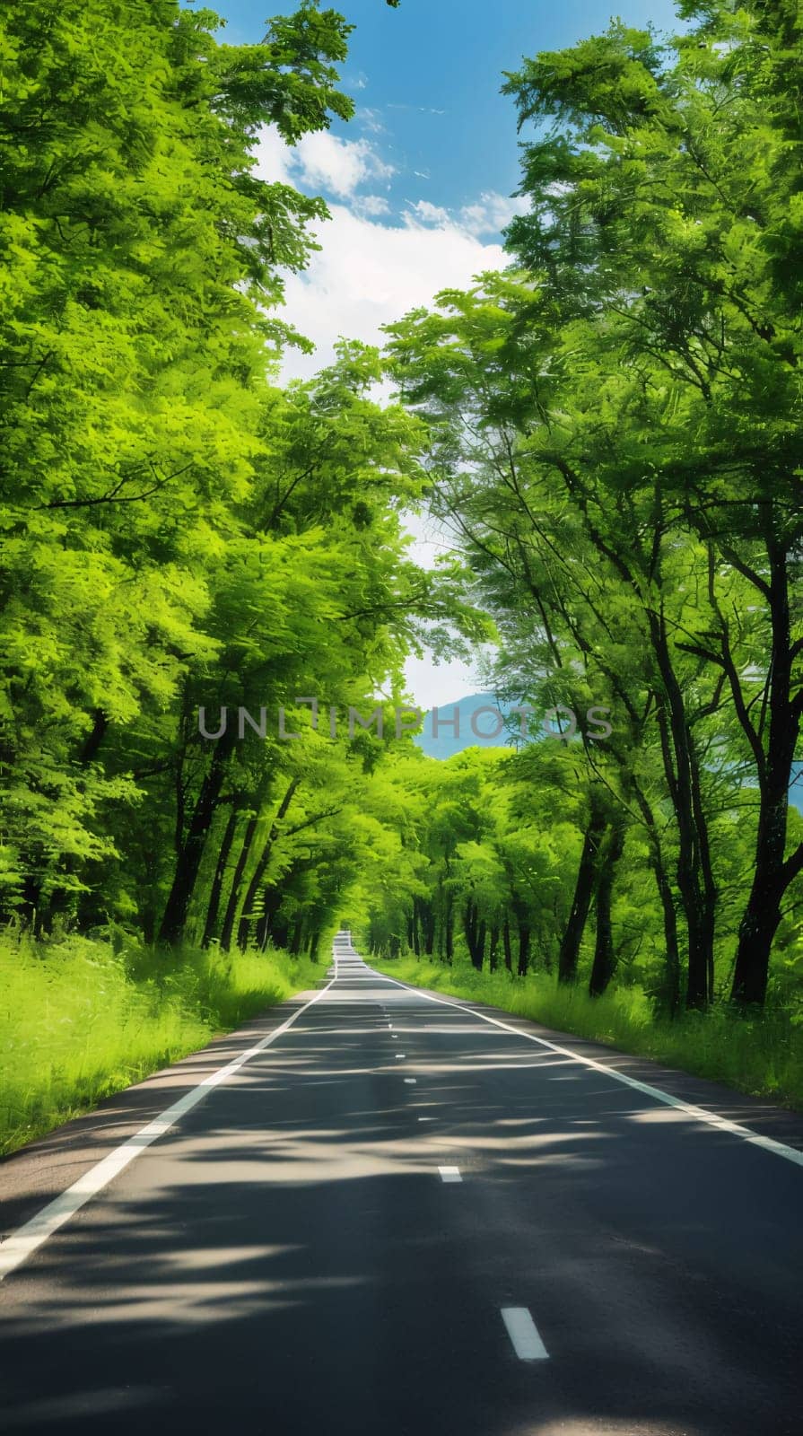 Road in the green forest, beautiful nature landscape background, travel concept by ThemesS