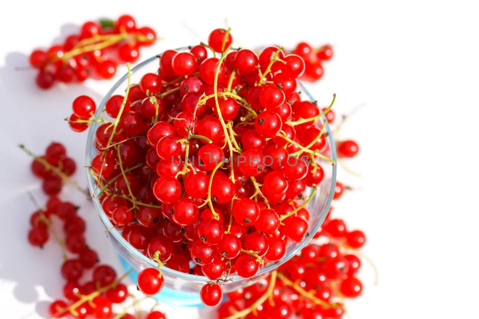 Ripe red currant berries in a transparent cup. Healthy food ingredients.