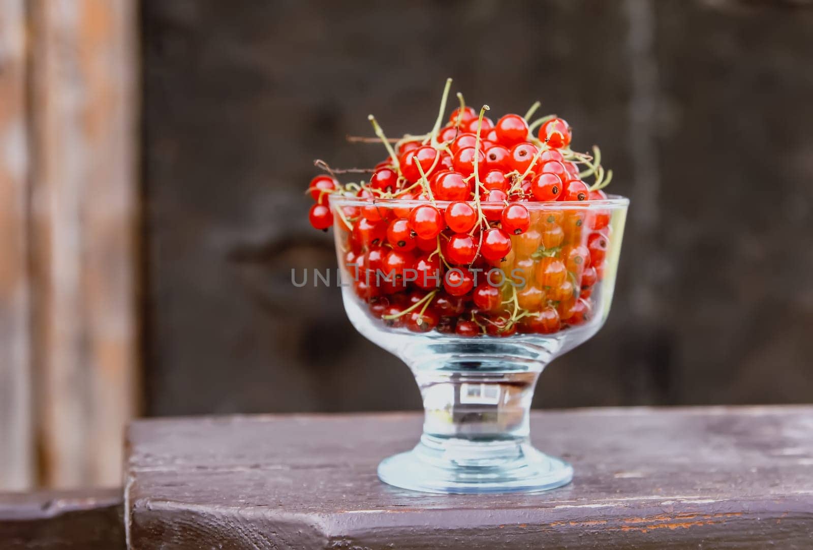 Red currant berries in a small glass cup on wooden wall background.
