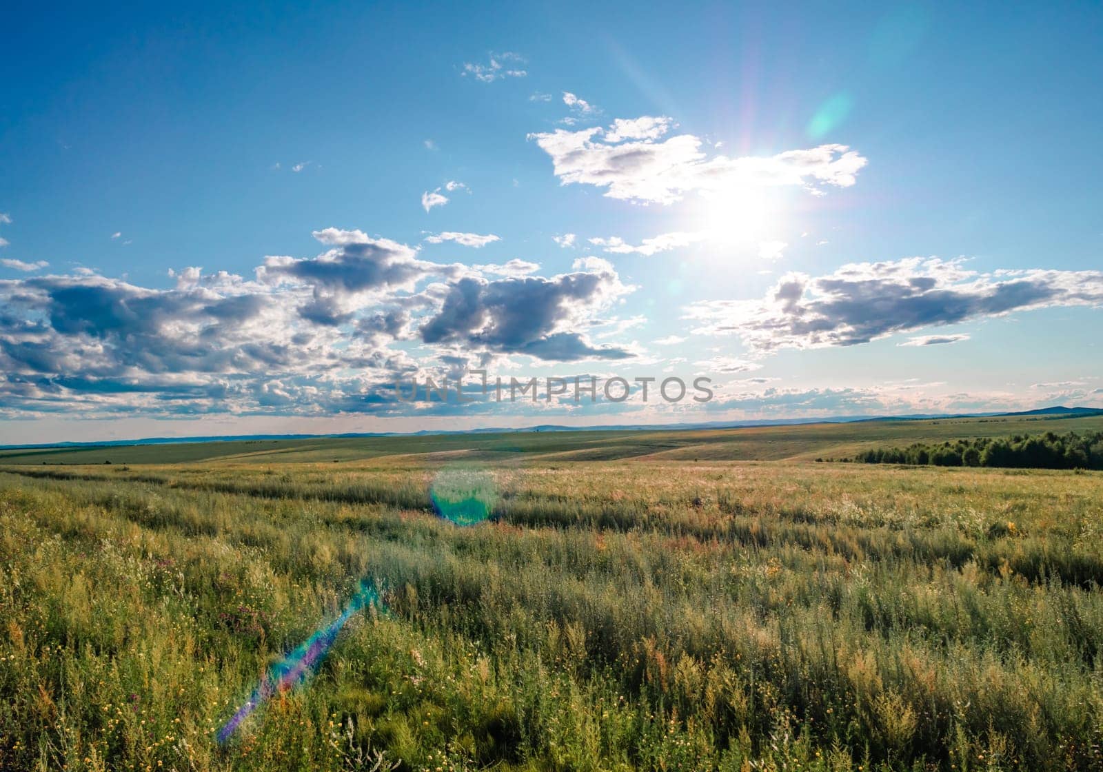 Golden prairie landscape under clear blue sky on a bright day by Busker