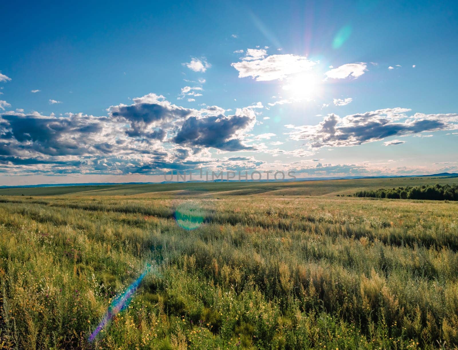 The open expanse of a golden prairie stretches to the horizon under a clear blue sky. The scene is bathed in sunlight, with a few fluffy clouds and vibrant green and yellow grasses swaying gently in a mild breeze.