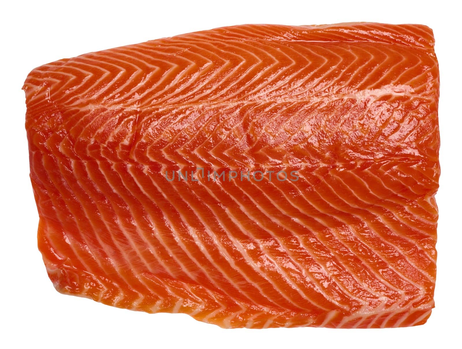 Raw trout fillet on isolated background, top view