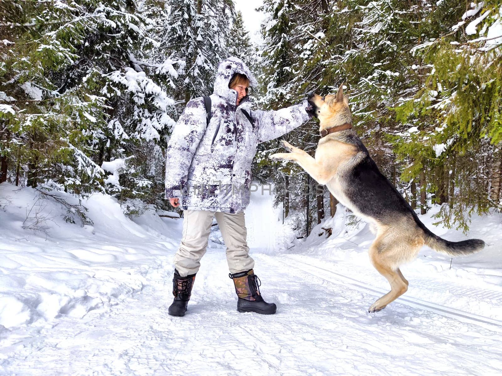 Adult girl or mature lady with shepherd dog in winter nature landscape in forest. Middle aged woman training big shepherd dog in cold day. Friendship, love, communication, fun, hugs