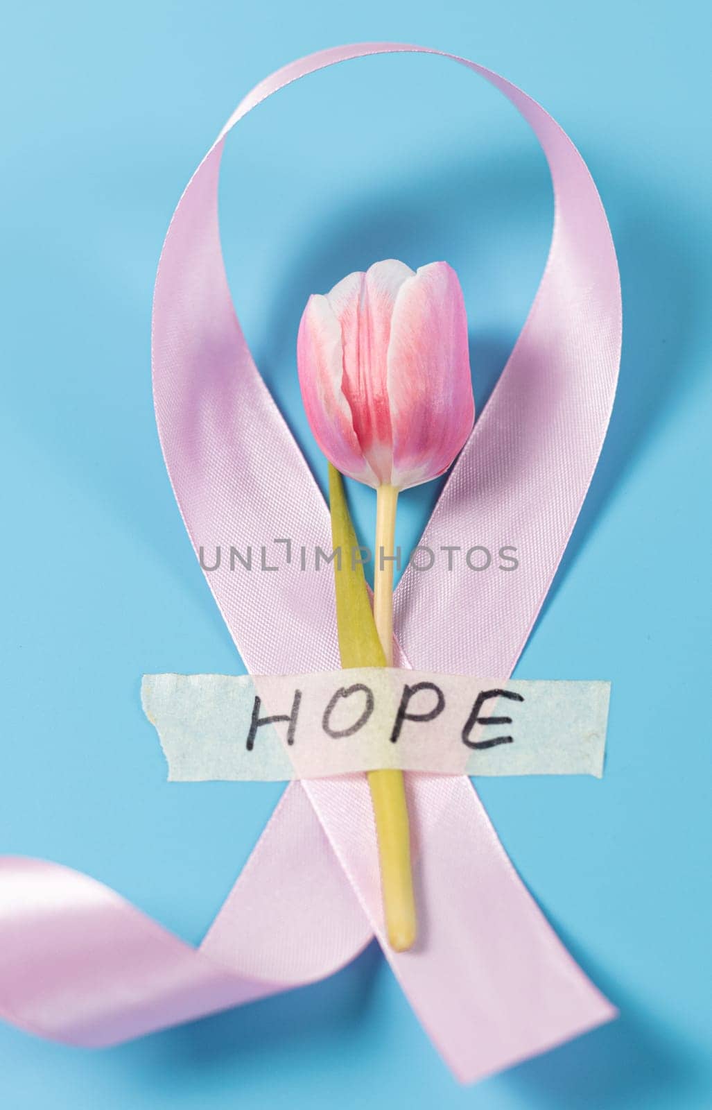 Pink ribbon emblem with a tulip taped with the word lie on a blue background, flat lay close-up.Concept for world cancer day, breast cancer.
