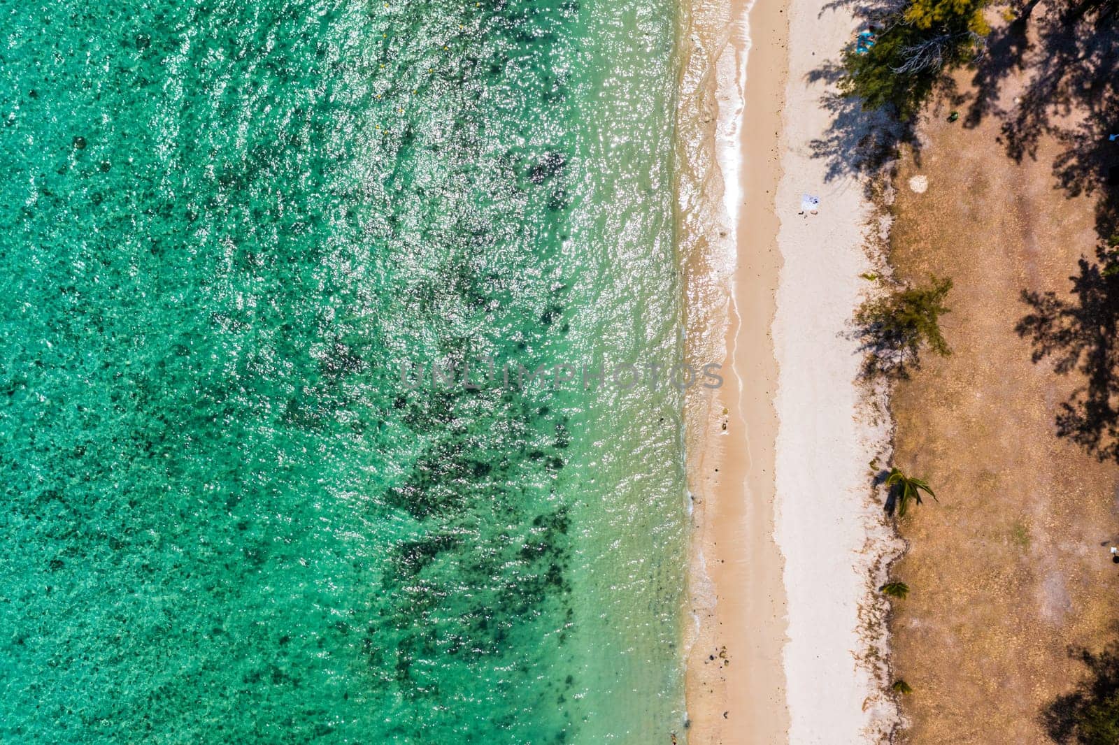 Beautiful Mauritius island with beach Flic en flac. Coral reef around tropical palm beach, Flic en Flac, Mauritius. Aerial view of a beautiful beach along the coast in Flic en Flac, Mauritius. by DaLiu