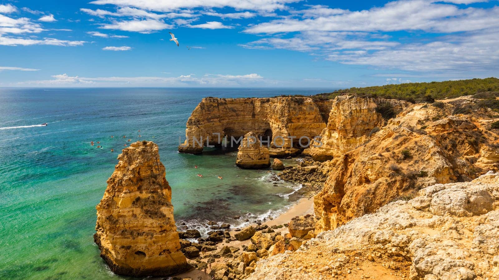 Praia da Marinha, beautiful beach Marinha in Algarve, Portugal. Navy Beach (Praia da Marinha) with flying seagulls over the beach, located on the Atlantic coast in Lagoa Municipality, Algarve.