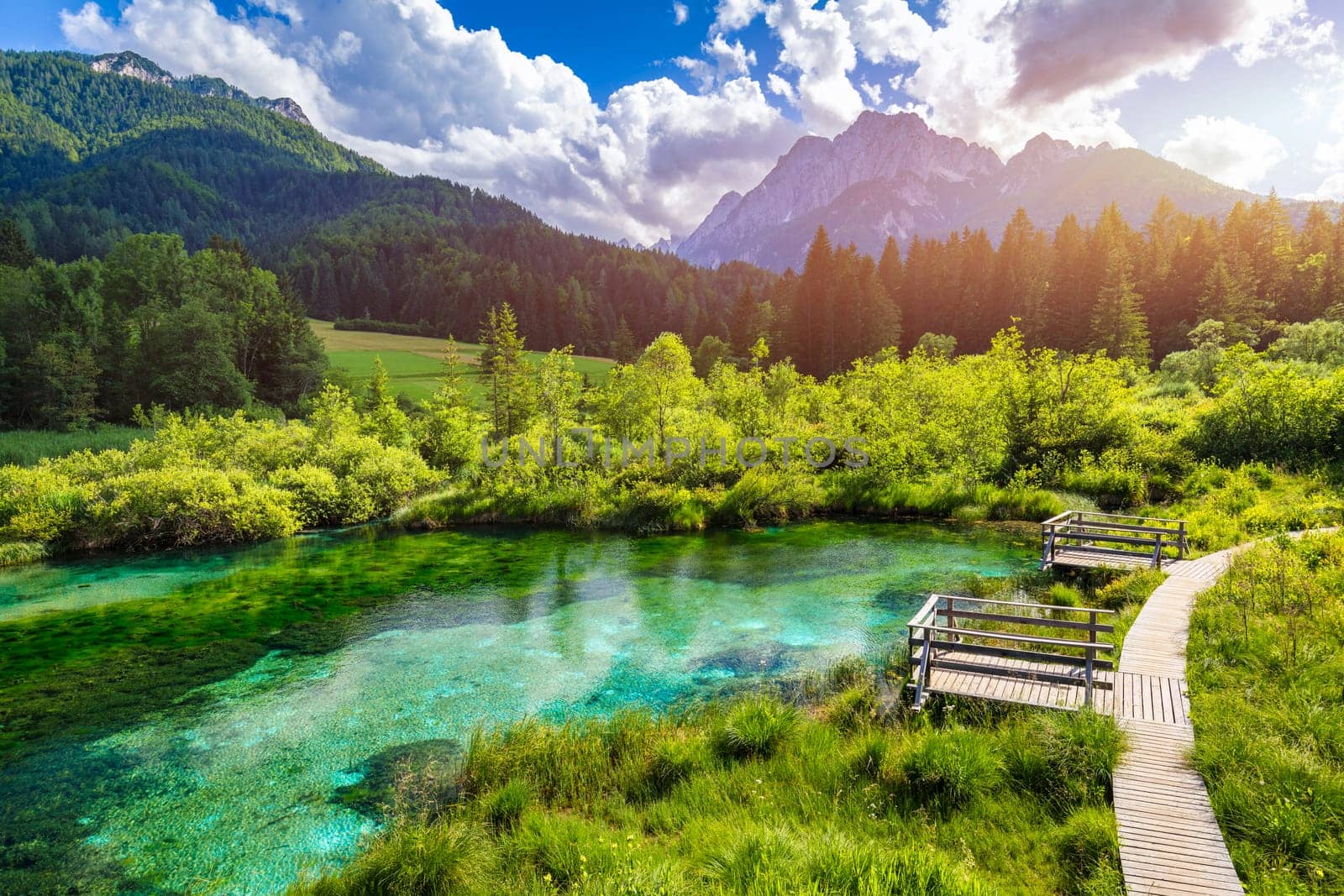 Wonderful view of Zelenci nature reserve in Slovenia. Nature reserve Zelenci, Krajnska Gora, Slovenia, Europe. Lake and forest in Zelenci Springs, Kranjska Gora, Upper Carniola, Slovenia.