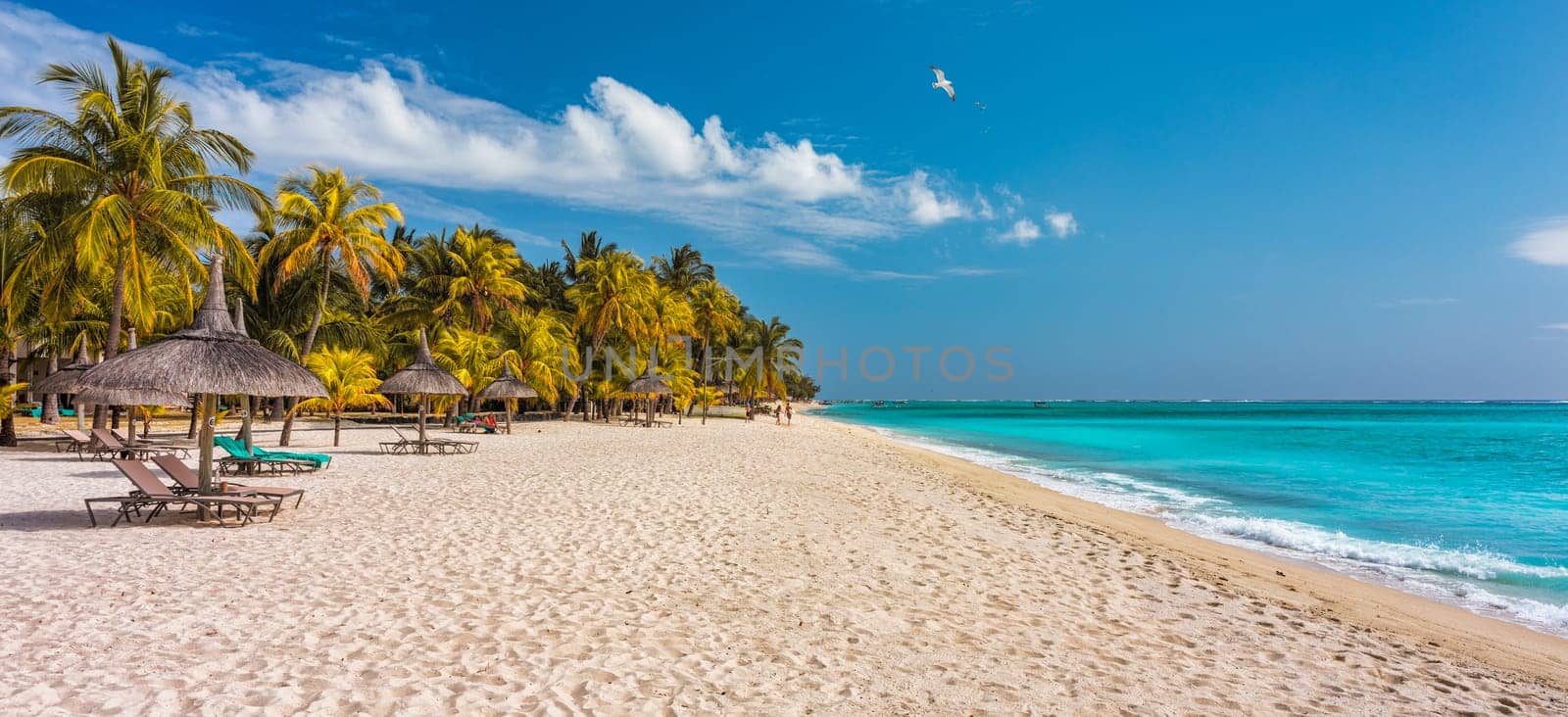 Paradise beach resort with palm trees and and tropical sea in Mauritius island. Summer vacation and tropical beach concept. Sandy beach with Le Morne beach on Mauritius island. Tropical landscape.