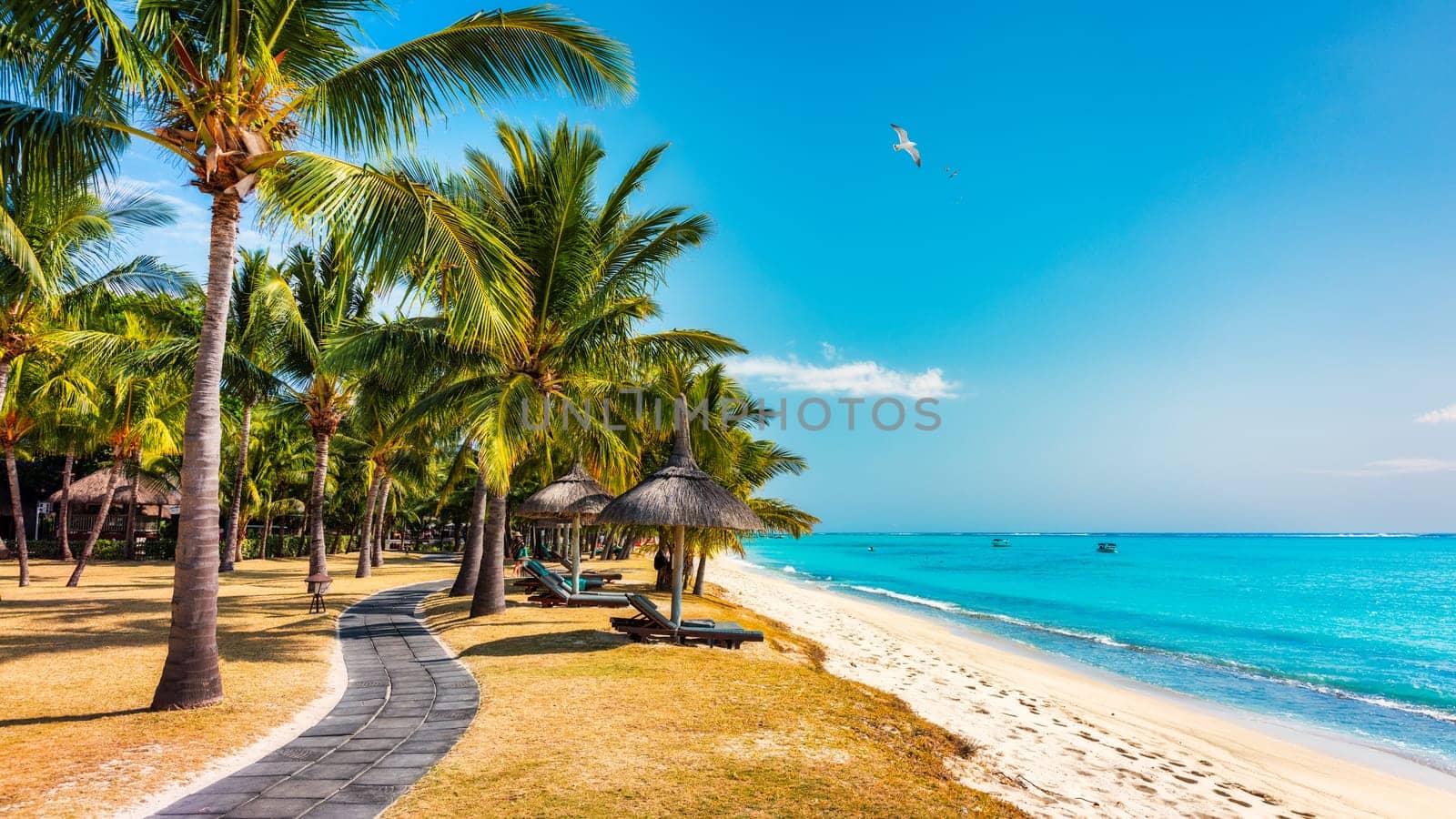 Palm trees on the tropical Le Morne beach, Mauritius. Tropical vacation background concept on Le Morne beach, Mauritius. Paradise beach on Mauritius island, palm trees, white sand, azure water.