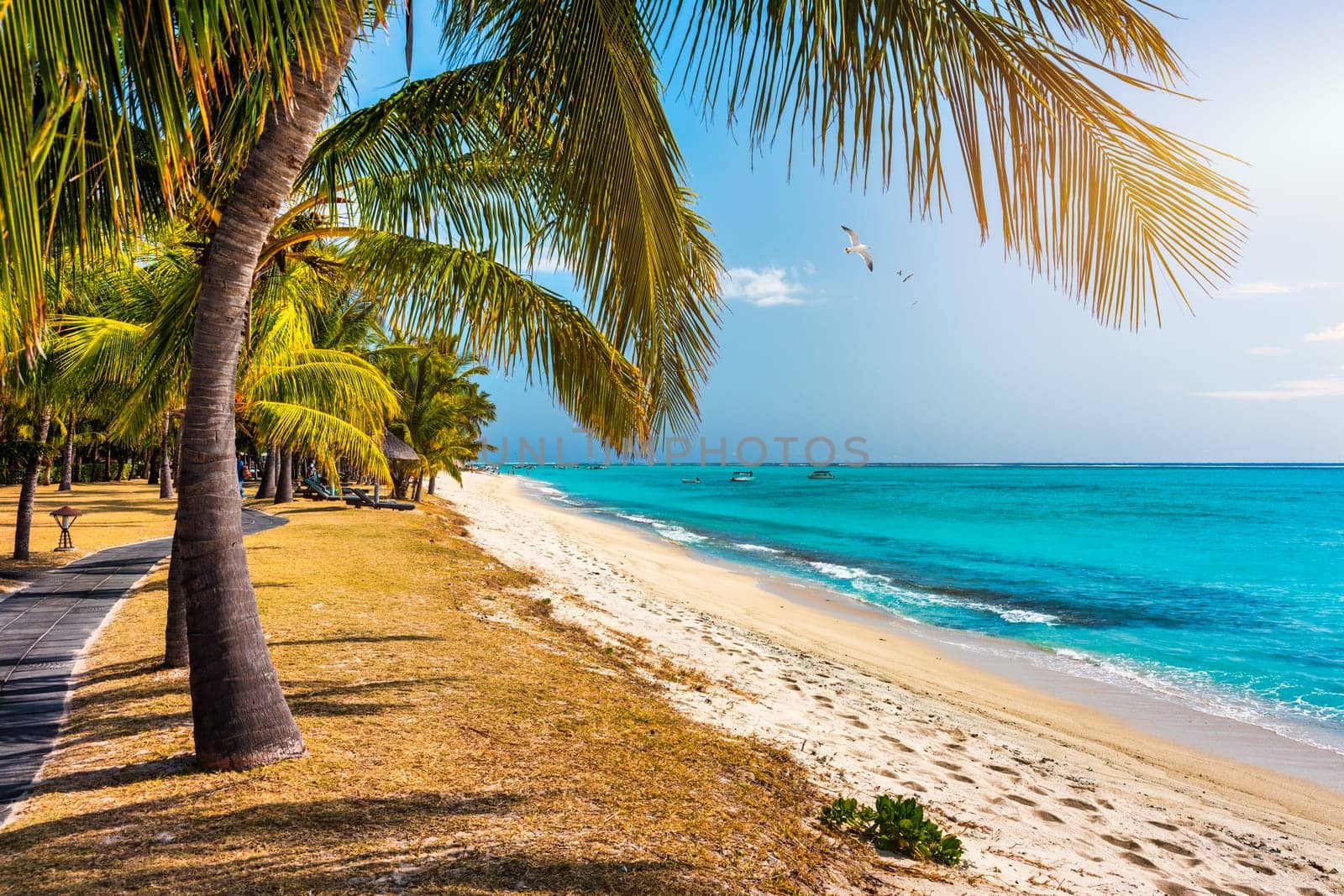 Paradise beach resort with palm trees and and tropical sea in Mauritius island. Summer vacation and tropical beach concept. Sandy beach with Le Morne beach on Mauritius island. Tropical landscape.