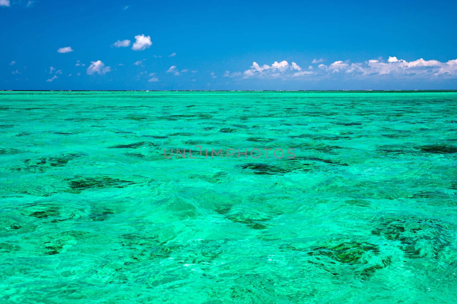 Water surface in vibrant green. View of a crystal clear sea water texture. View natural sea water, green background. Green water reflection. Green ocean wave.