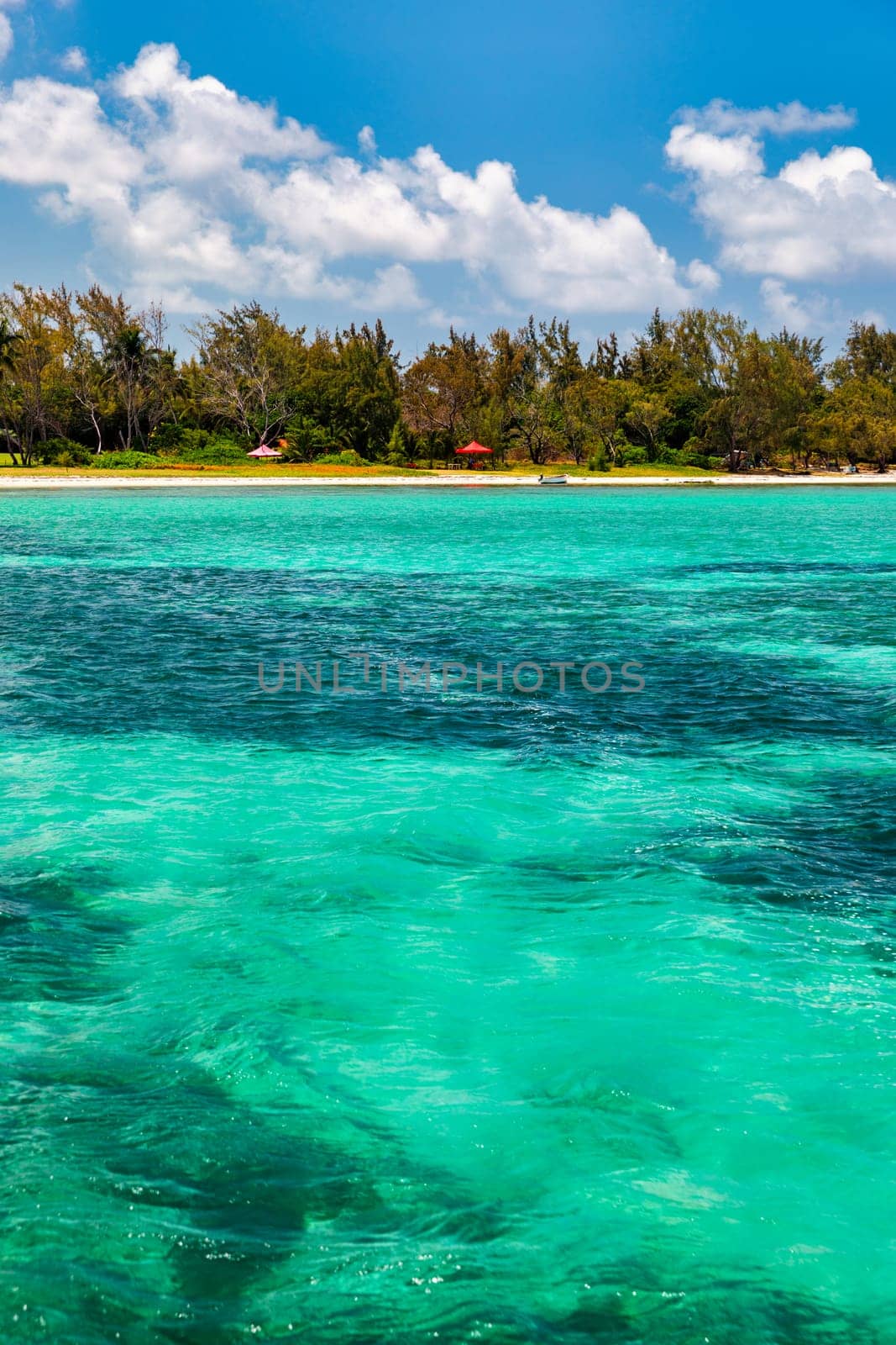 Tropical beach scenery, vacation in paradise island Mauritius. Dream exotic island, tropical paradise. Best beaches of Mauritius island, luxury resorts of Mauritius, Indian Ocean, Africa.